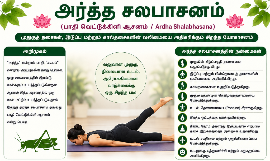 அர்த்த சலபாசனம்
